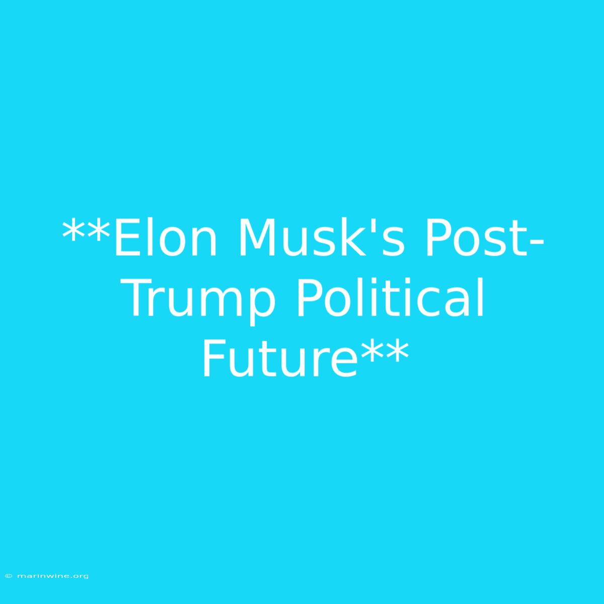 **Elon Musk's Post-Trump Political Future**