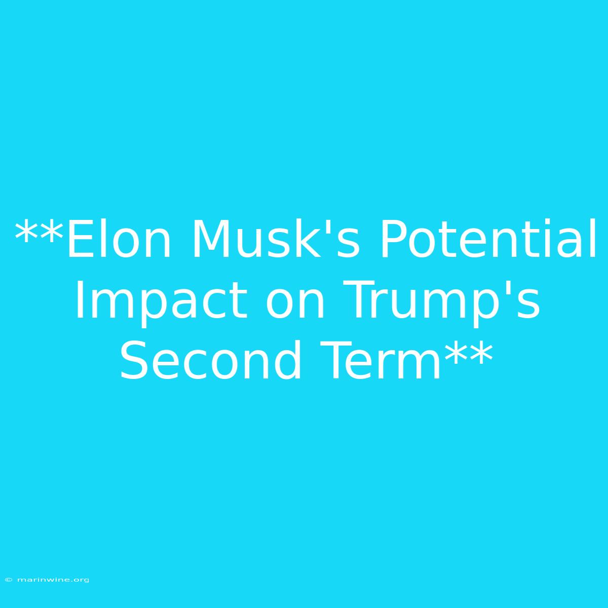 **Elon Musk's Potential Impact On Trump's Second Term**