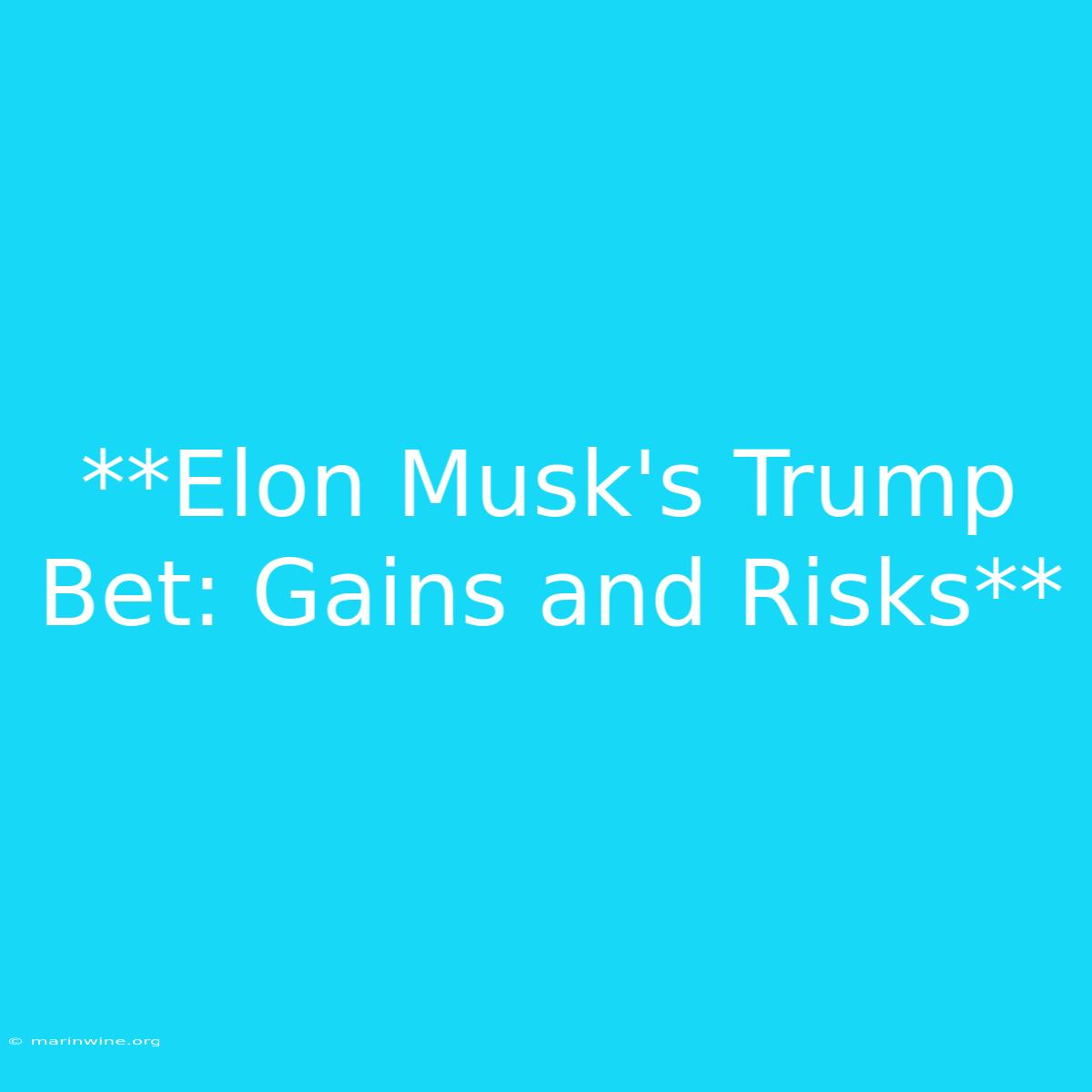 **Elon Musk's Trump Bet: Gains And Risks**