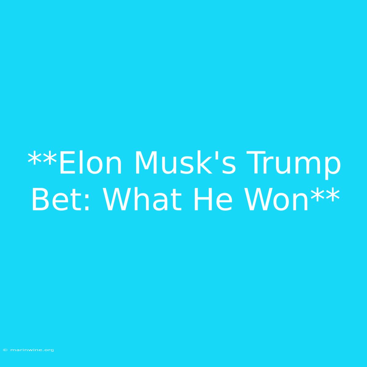 **Elon Musk's Trump Bet: What He Won**