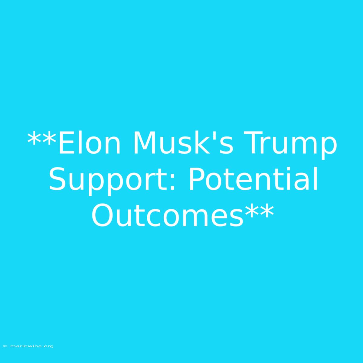 **Elon Musk's Trump Support: Potential Outcomes**