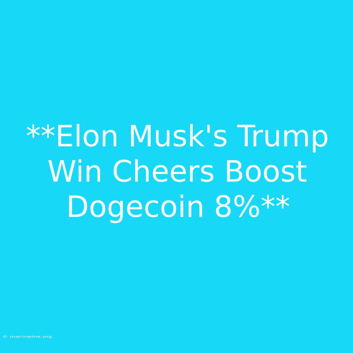 **Elon Musk's Trump Win Cheers Boost Dogecoin 8%**