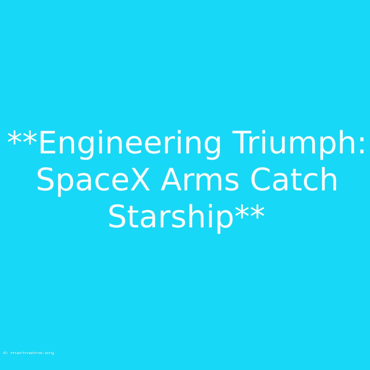 **Engineering Triumph: SpaceX Arms Catch Starship** 