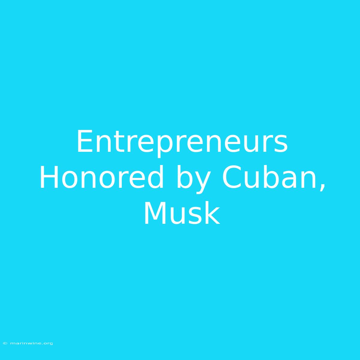 Entrepreneurs Honored By Cuban, Musk 