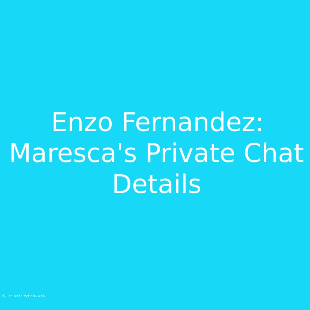 Enzo Fernandez: Maresca's Private Chat Details