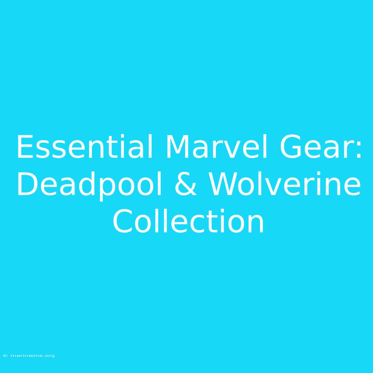 Essential Marvel Gear: Deadpool & Wolverine Collection