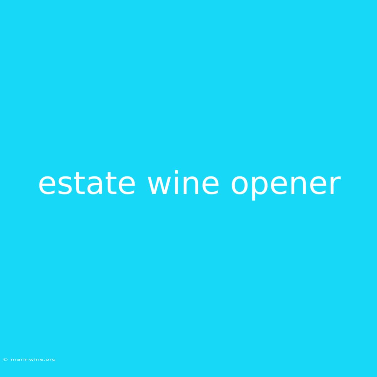 Estate Wine Opener