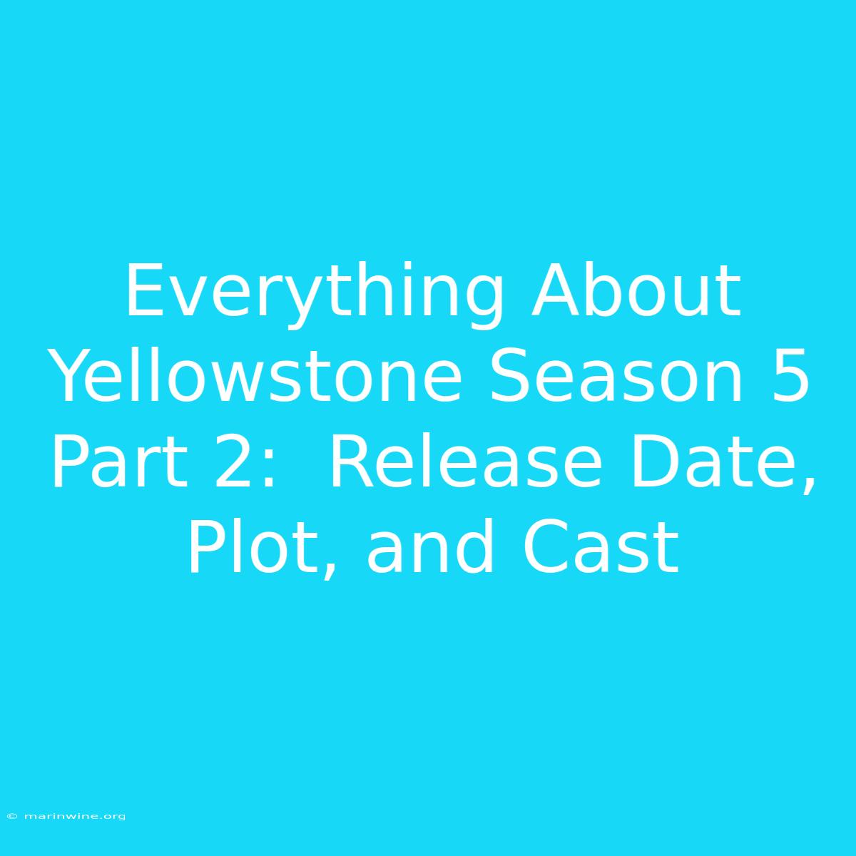 Everything About Yellowstone Season 5 Part 2:  Release Date, Plot, And Cast 