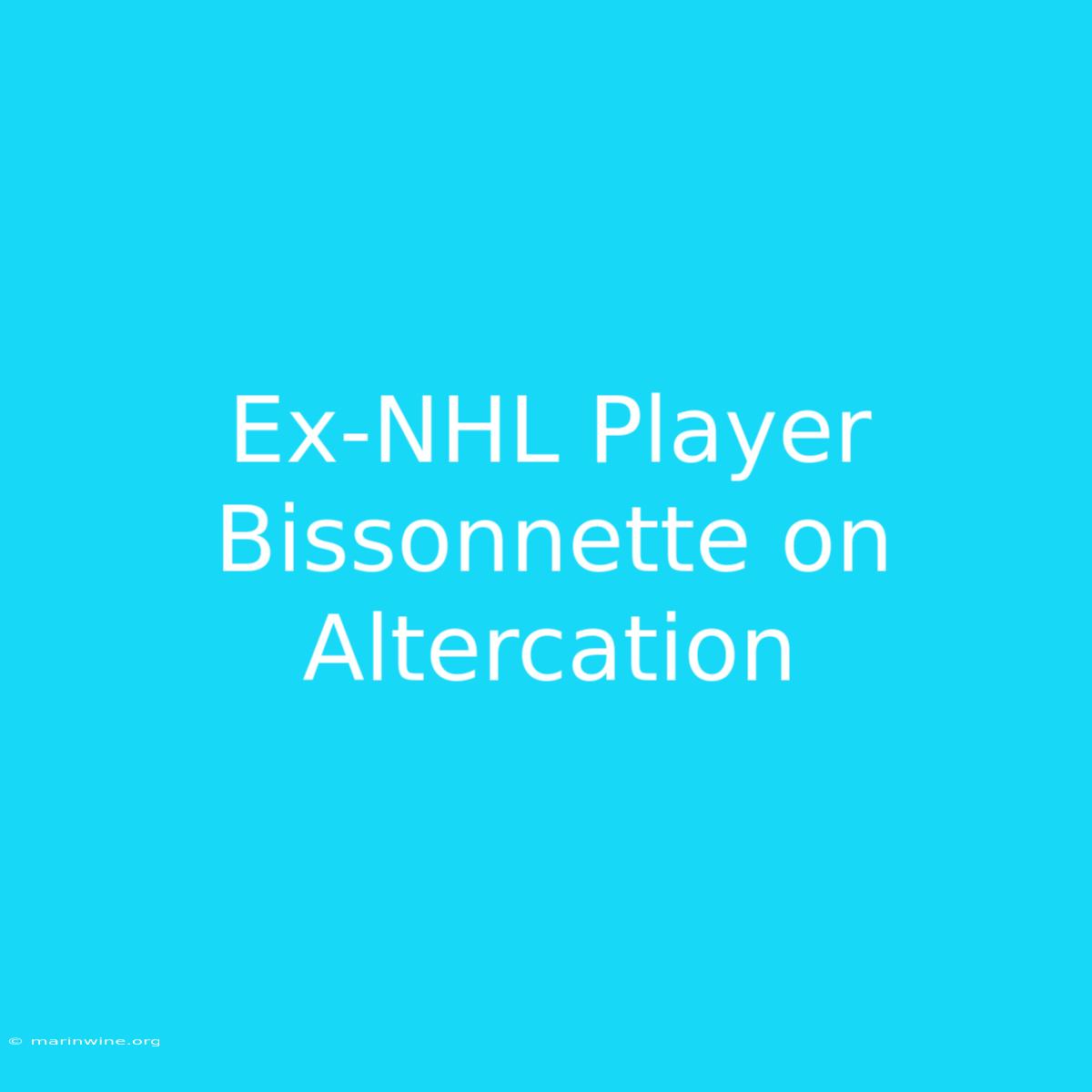 Ex-NHL Player Bissonnette On Altercation