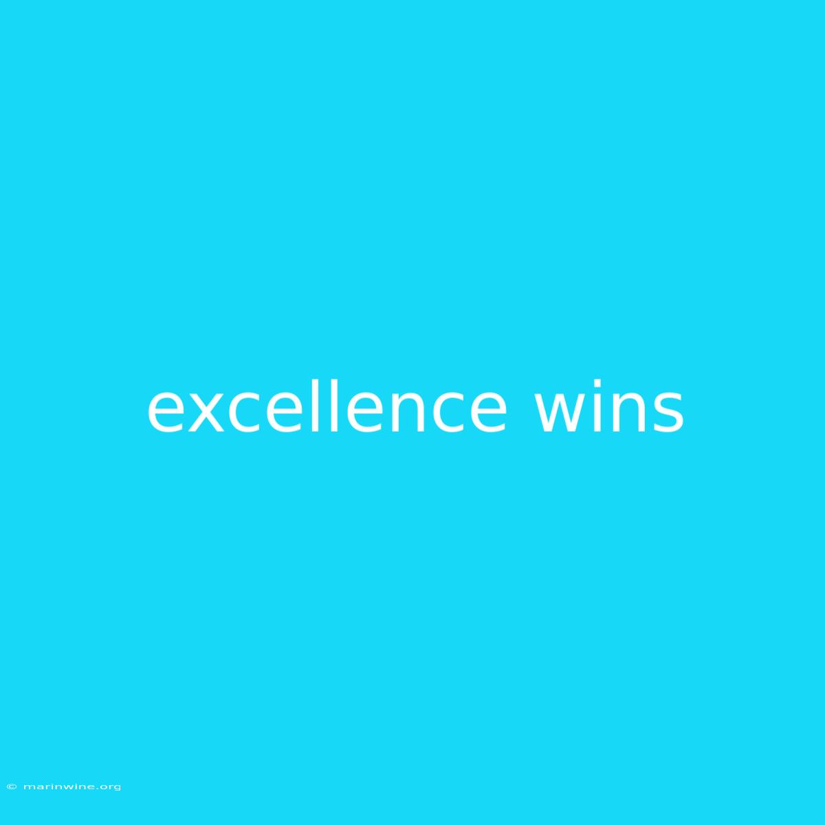 Excellence Wins