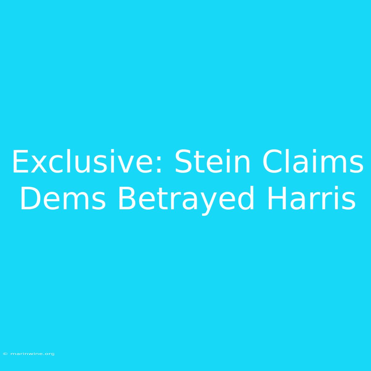 Exclusive: Stein Claims Dems Betrayed Harris 