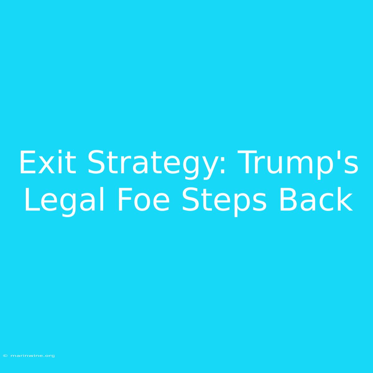 Exit Strategy: Trump's Legal Foe Steps Back 