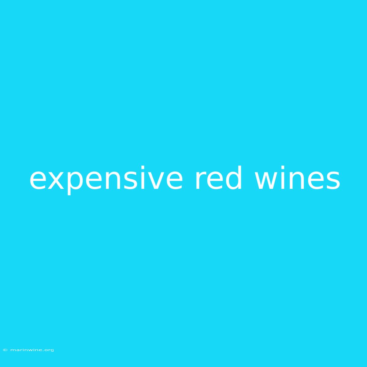 Expensive Red Wines