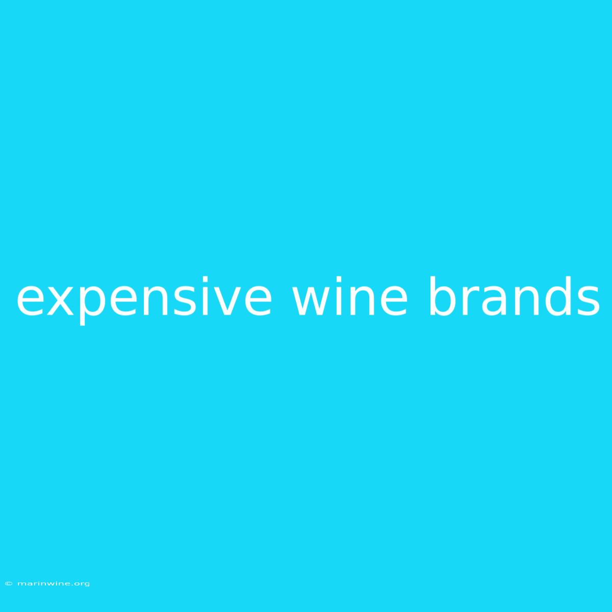 Expensive Wine Brands