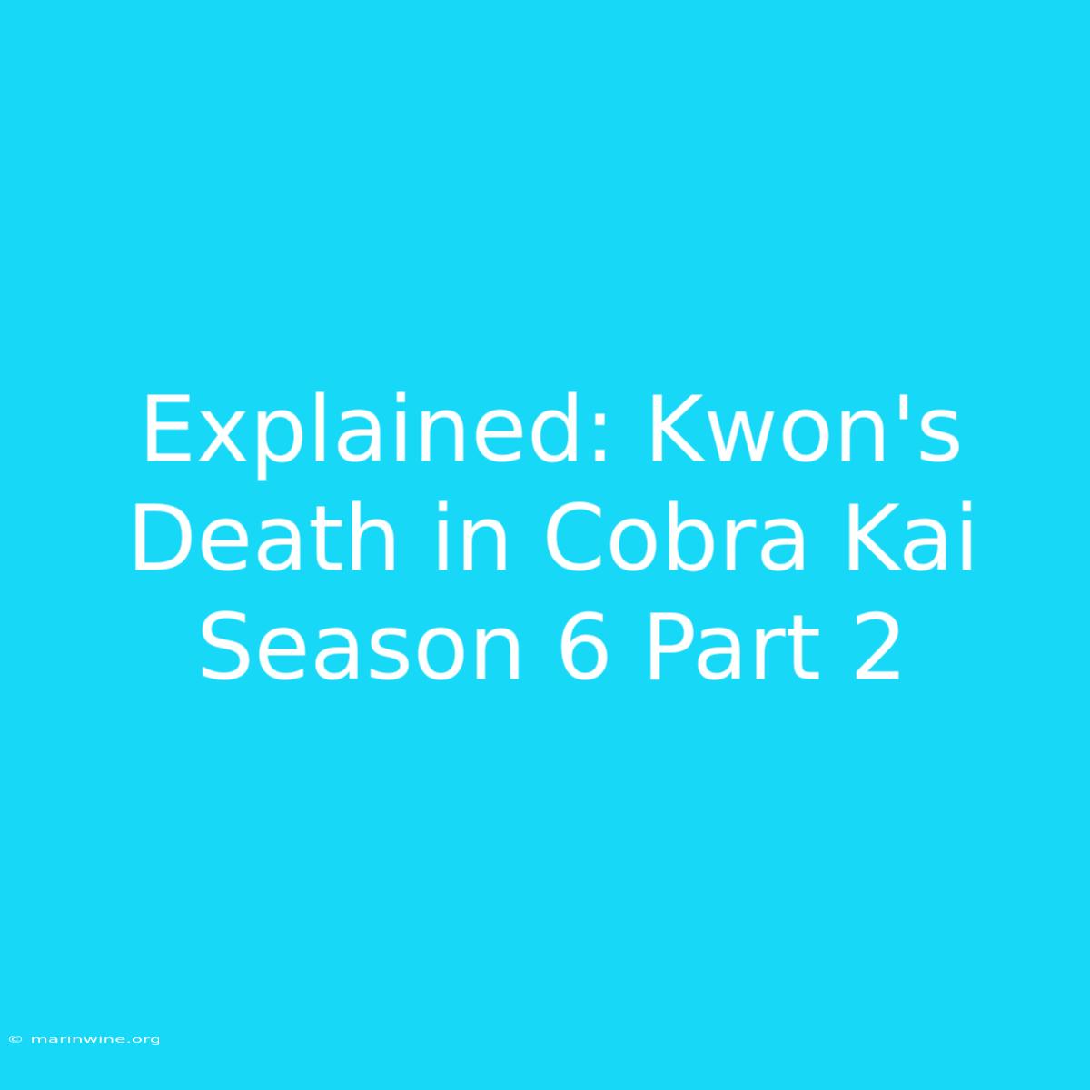 Explained: Kwon's Death In Cobra Kai Season 6 Part 2