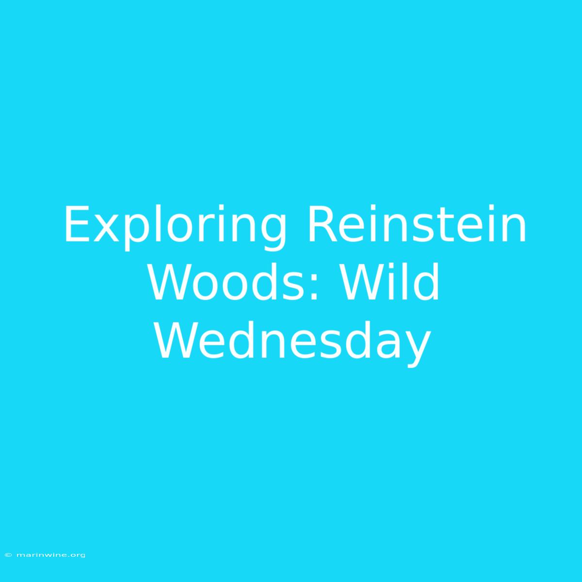 Exploring Reinstein Woods: Wild Wednesday