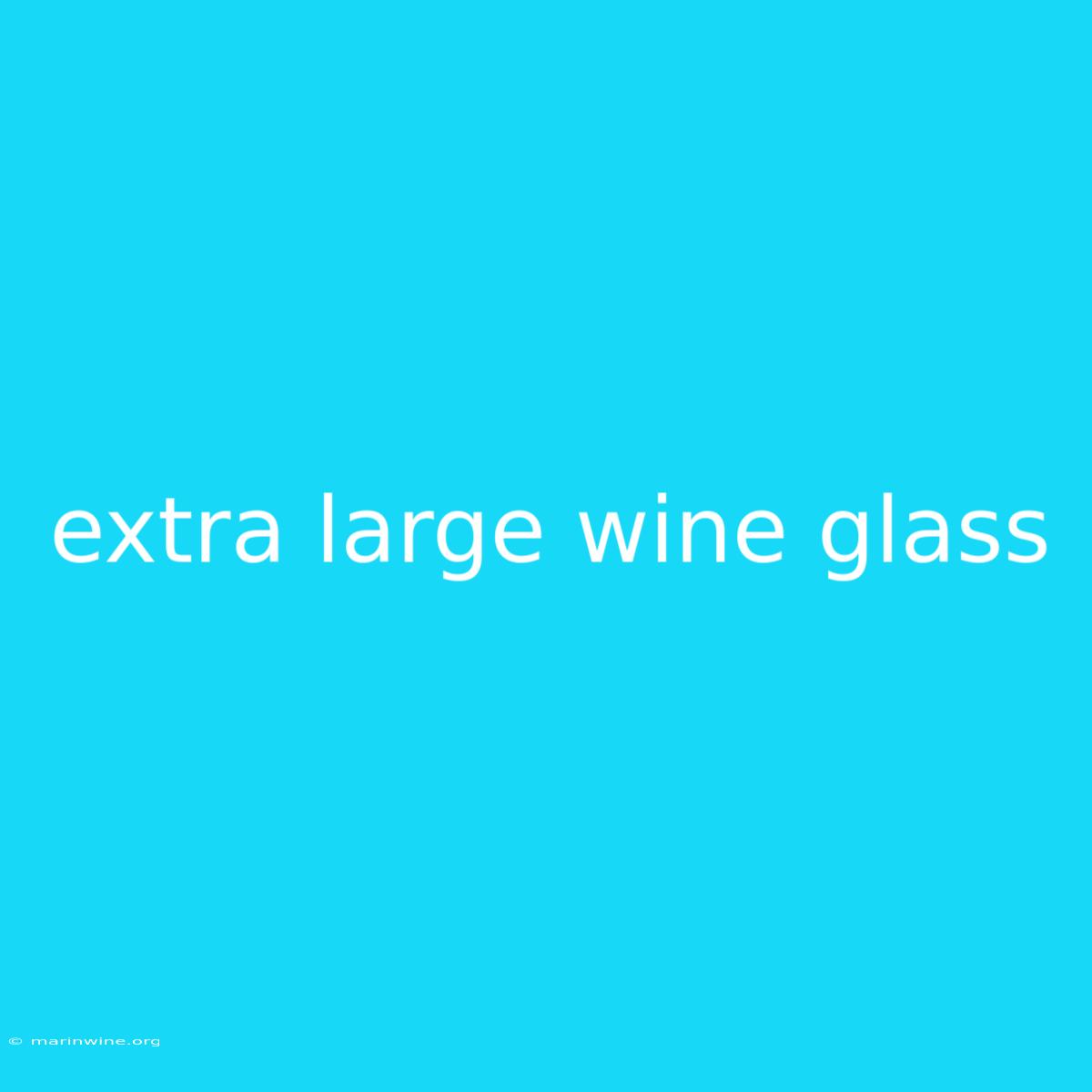 Extra Large Wine Glass