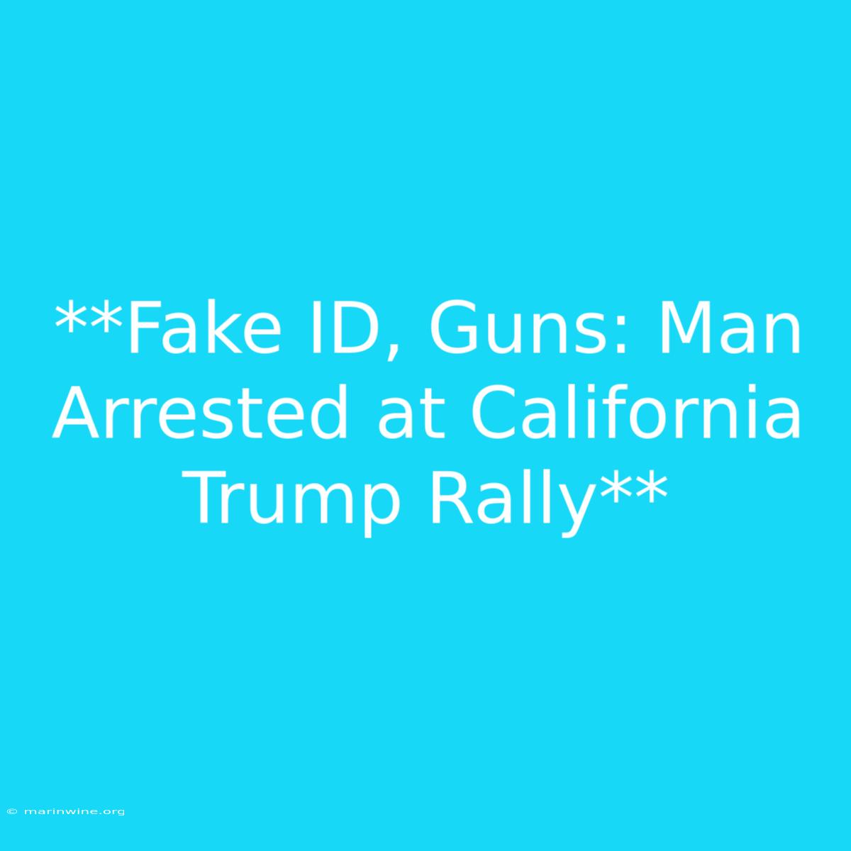 **Fake ID, Guns: Man Arrested At California Trump Rally** 