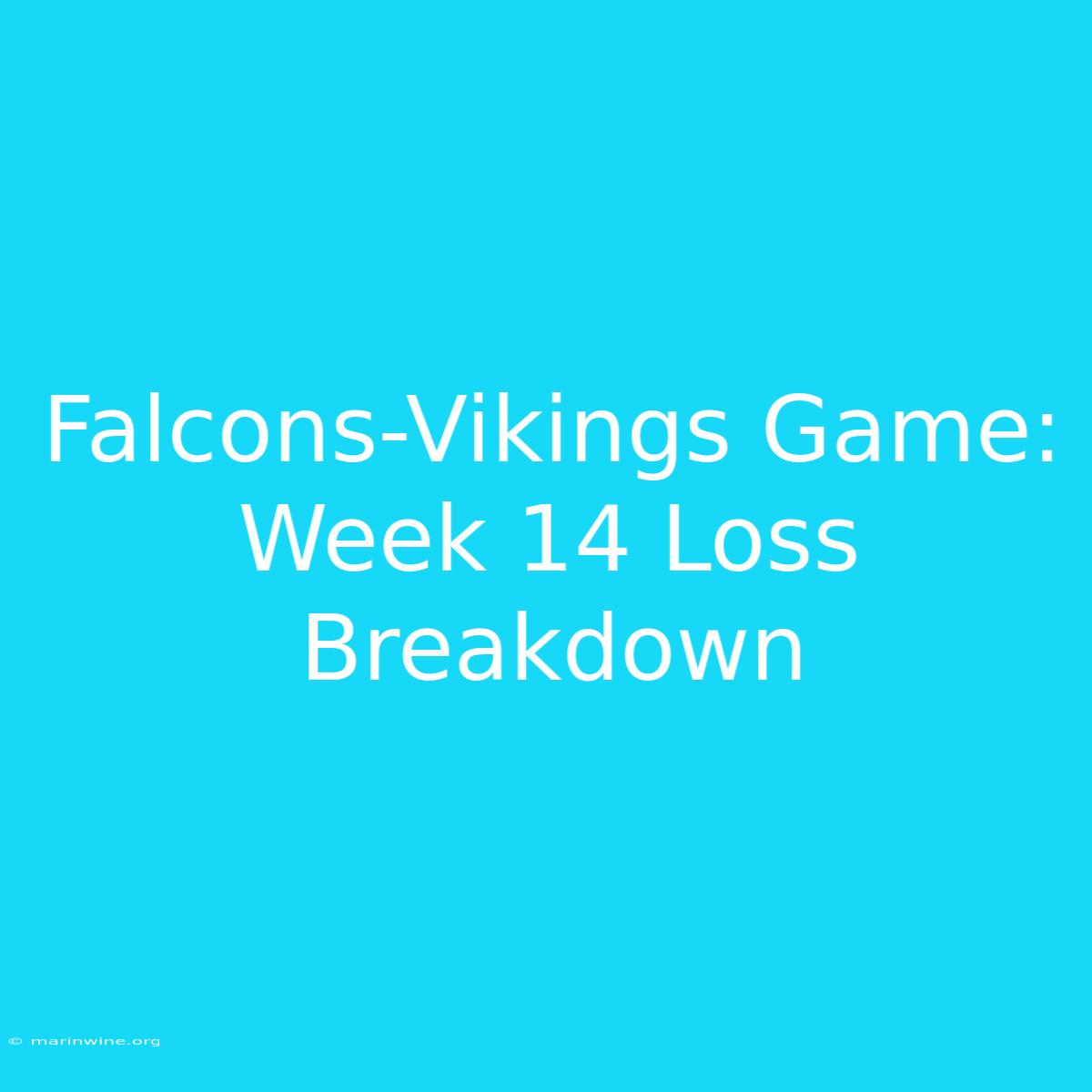 Falcons-Vikings Game: Week 14 Loss Breakdown