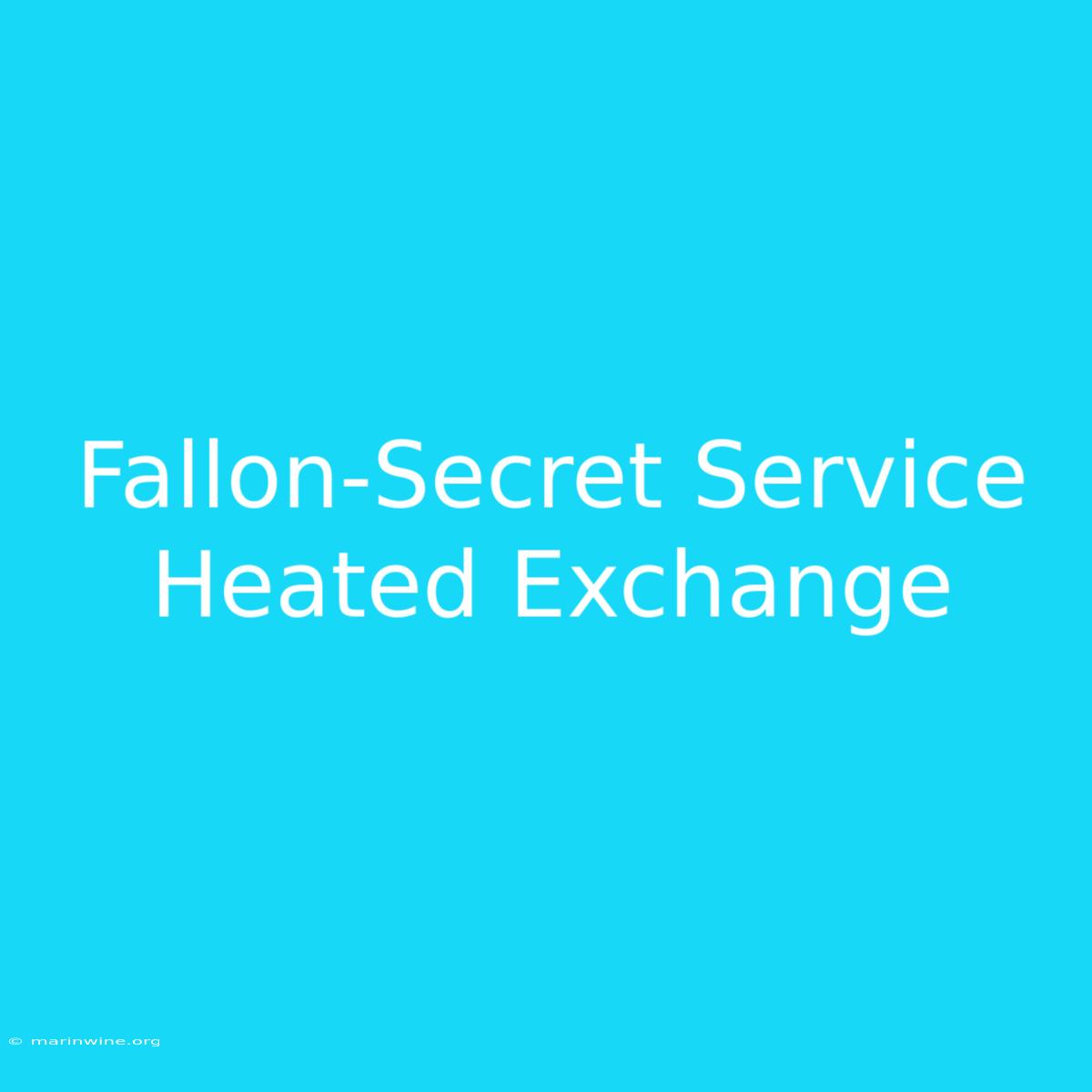 Fallon-Secret Service Heated Exchange