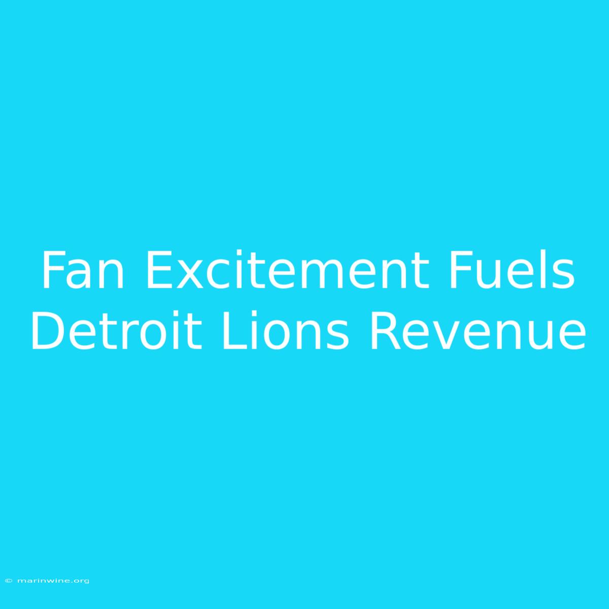 Fan Excitement Fuels Detroit Lions Revenue