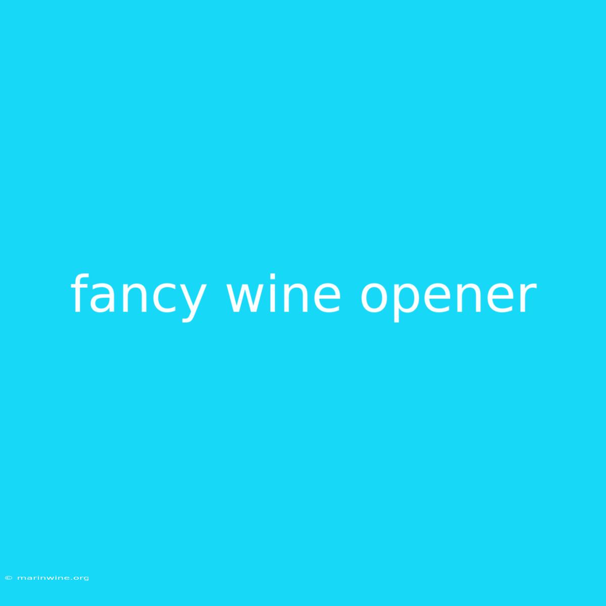 Fancy Wine Opener