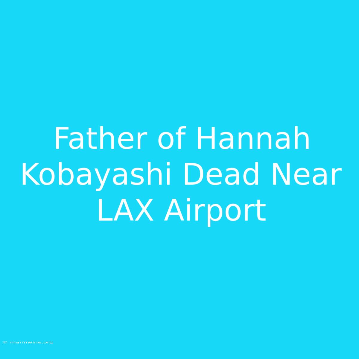 Father Of Hannah Kobayashi Dead Near LAX Airport