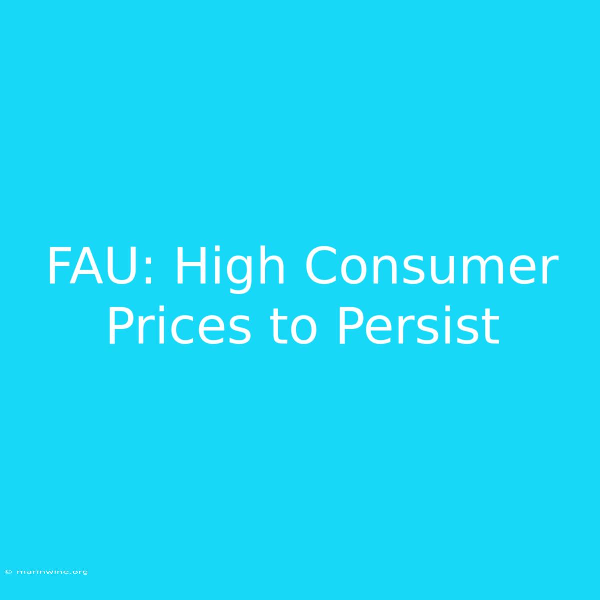 FAU: High Consumer Prices To Persist