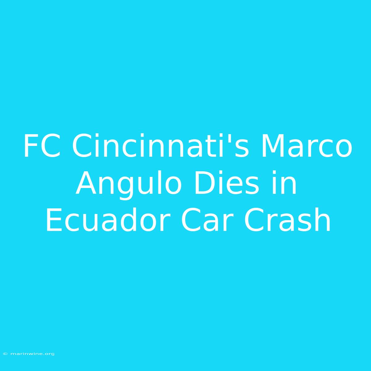 FC Cincinnati's Marco Angulo Dies In Ecuador Car Crash