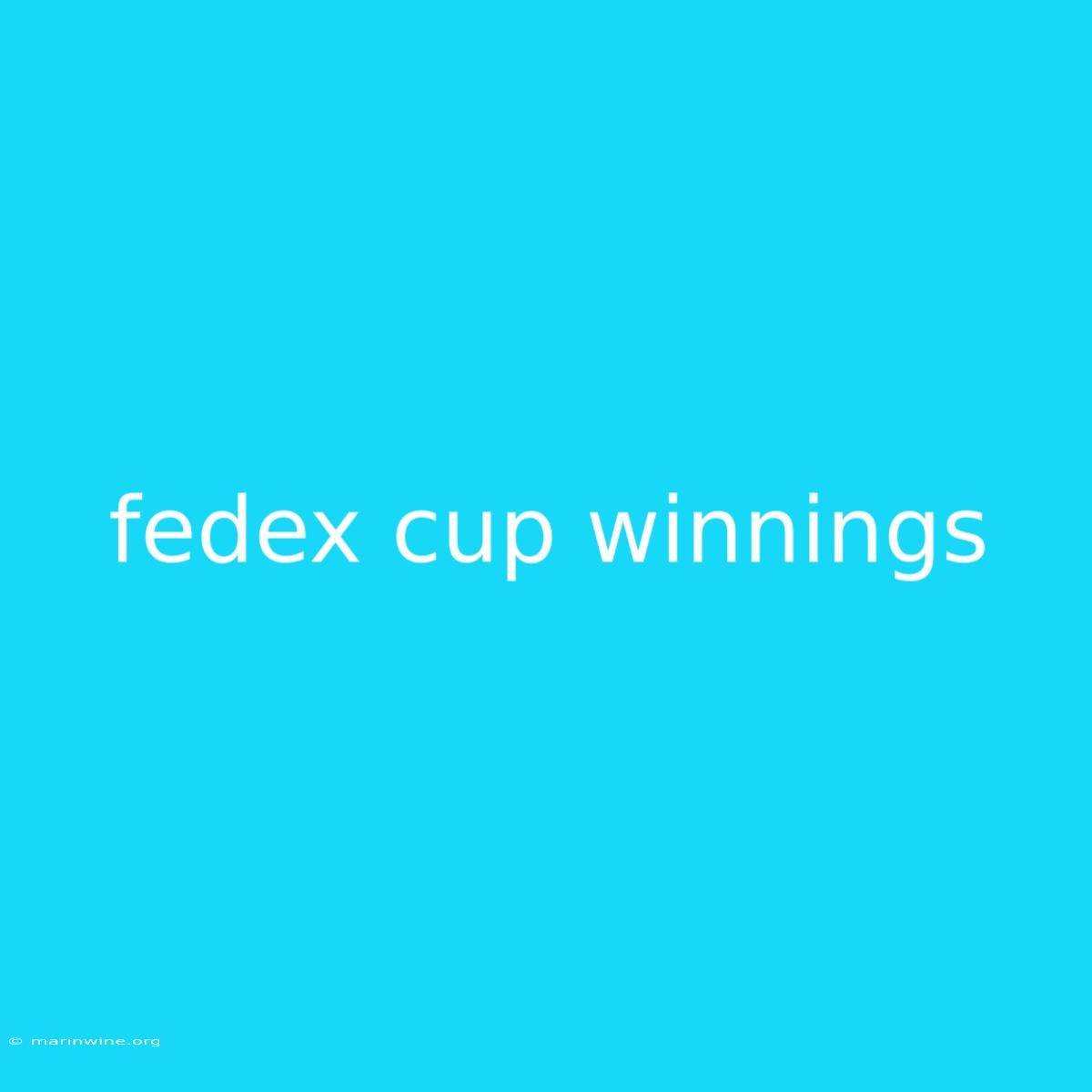 Fedex Cup Winnings