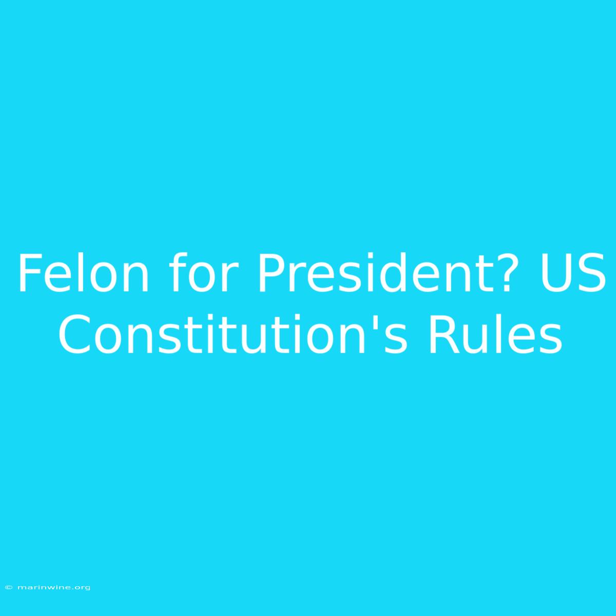 Felon For President? US Constitution's Rules