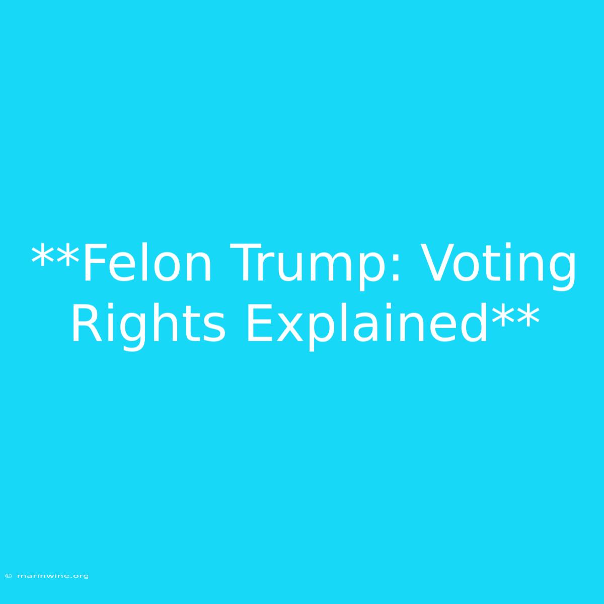 **Felon Trump: Voting Rights Explained**