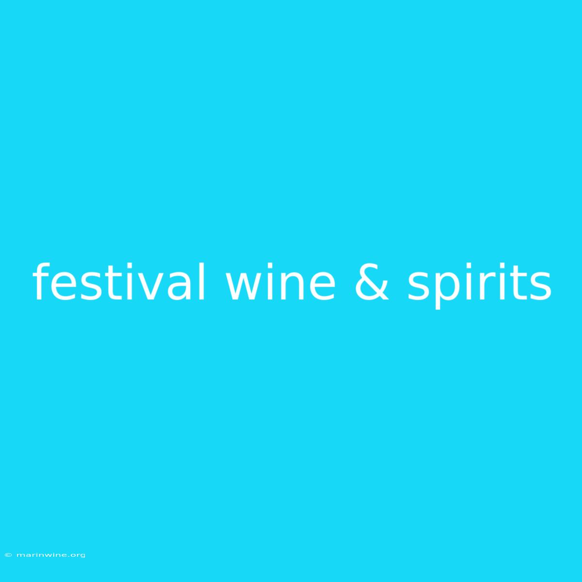 Festival Wine & Spirits