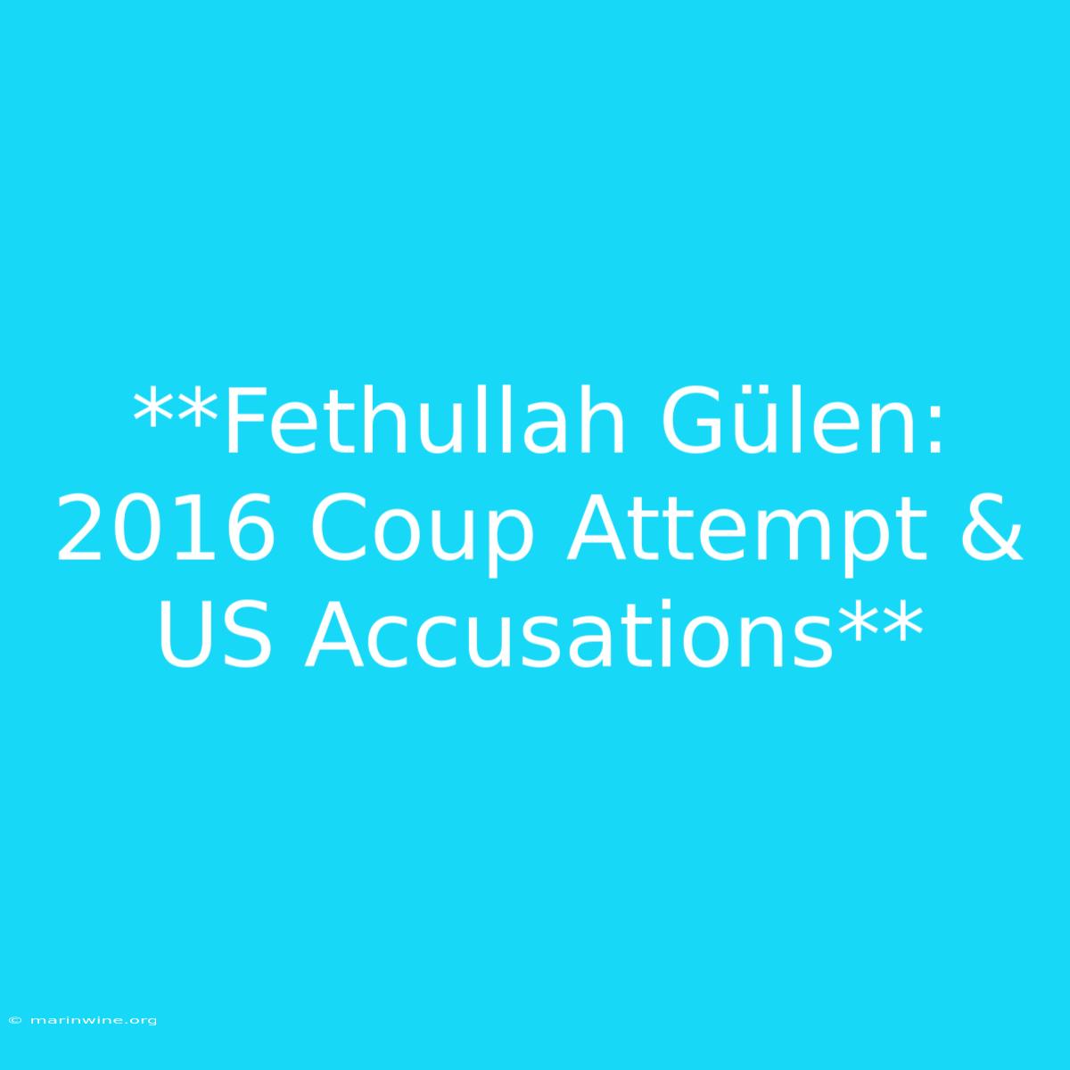 **Fethullah Gülen: 2016 Coup Attempt & US Accusations**