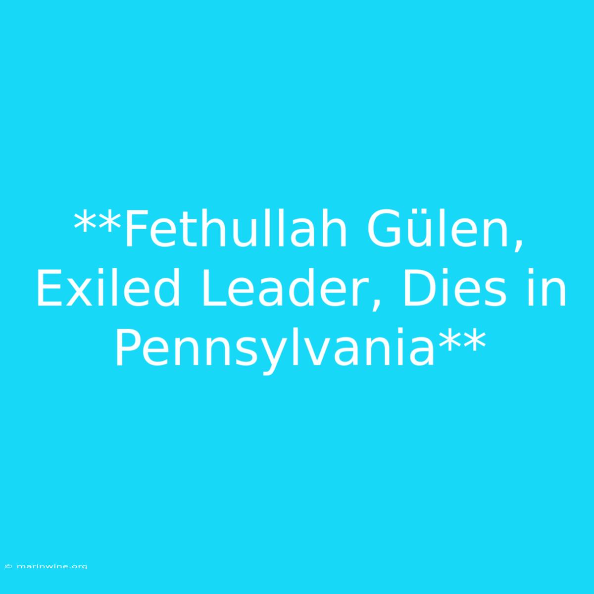 **Fethullah Gülen, Exiled Leader, Dies In Pennsylvania** 