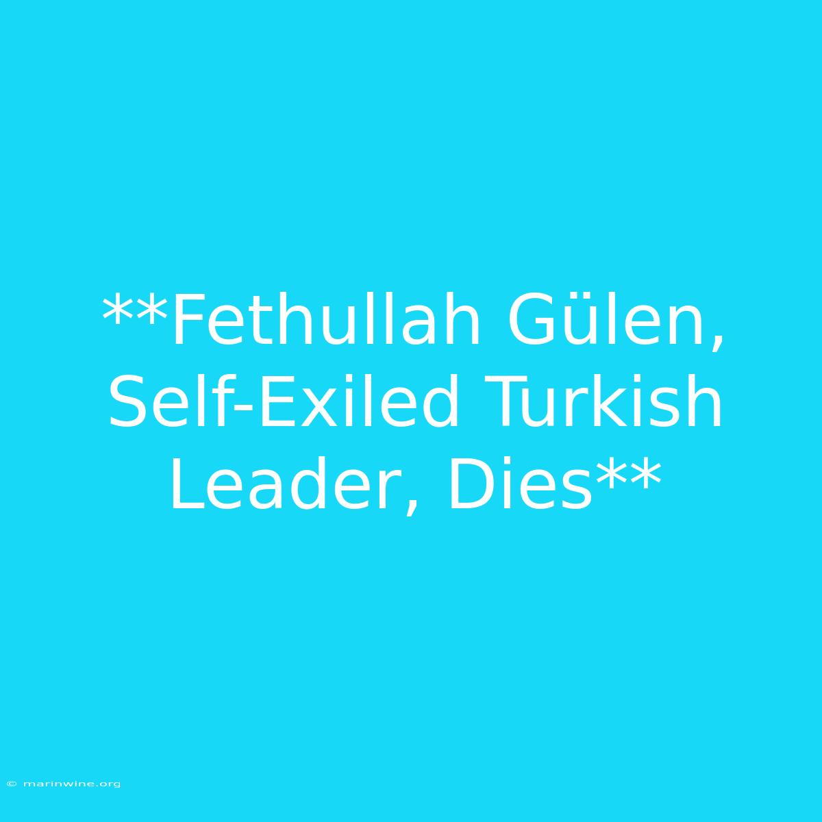 **Fethullah Gülen, Self-Exiled Turkish Leader, Dies**