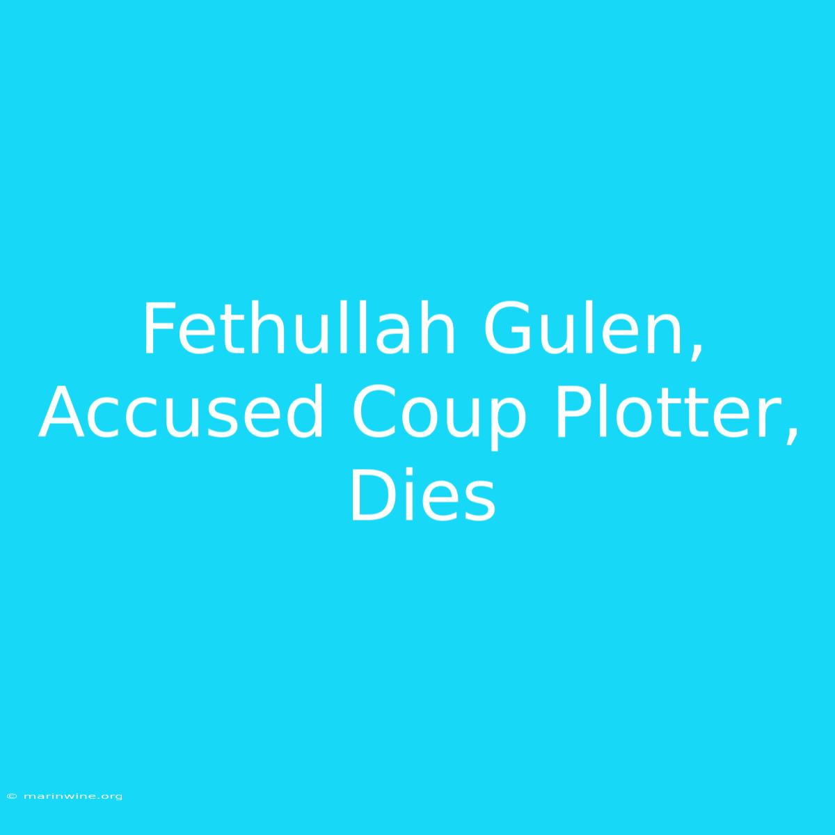 Fethullah Gulen, Accused Coup Plotter, Dies