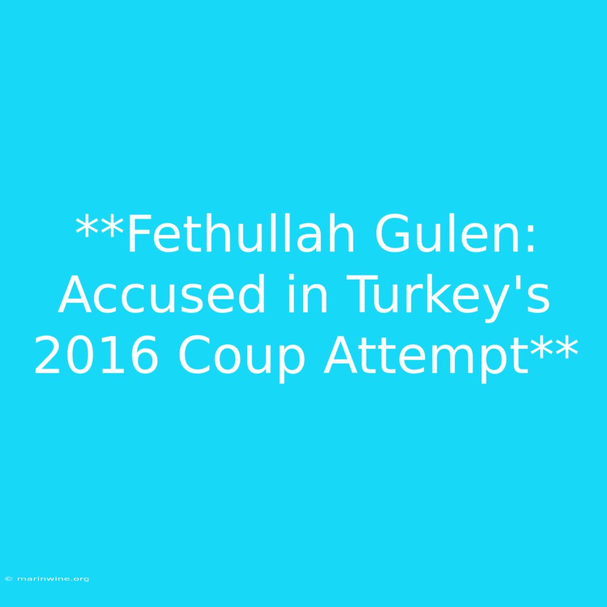 **Fethullah Gulen: Accused In Turkey's 2016 Coup Attempt**