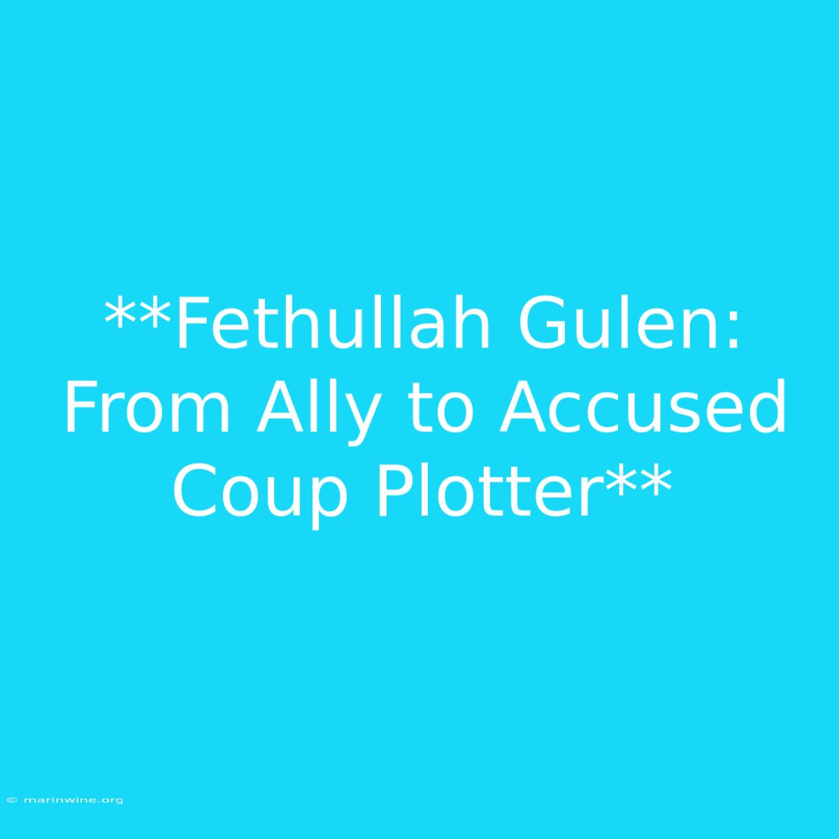 **Fethullah Gulen: From Ally To Accused Coup Plotter**