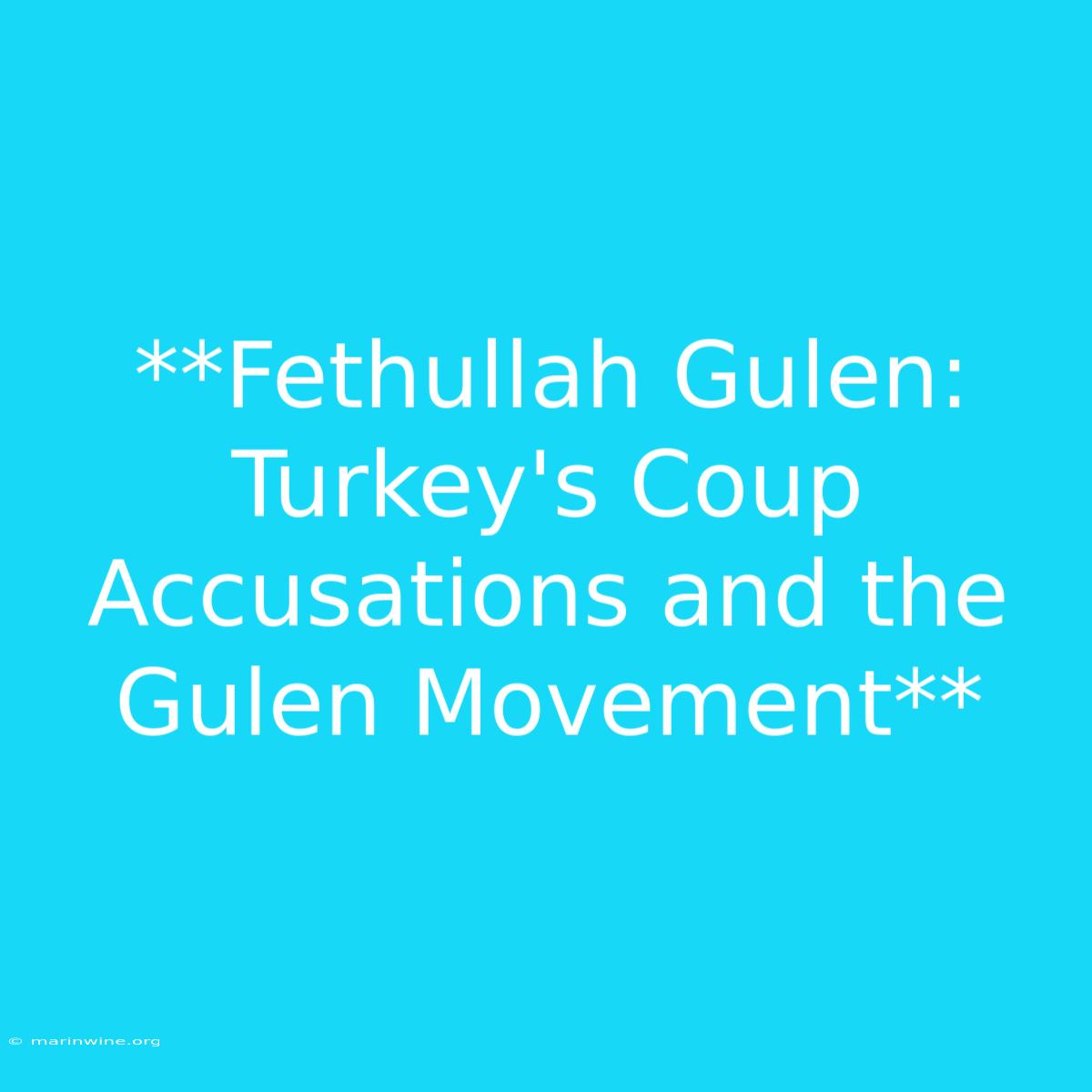 **Fethullah Gulen: Turkey's Coup Accusations And The Gulen Movement** 