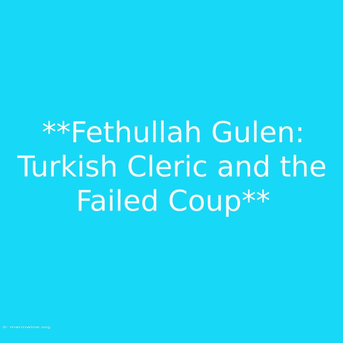 **Fethullah Gulen: Turkish Cleric And The Failed Coup**