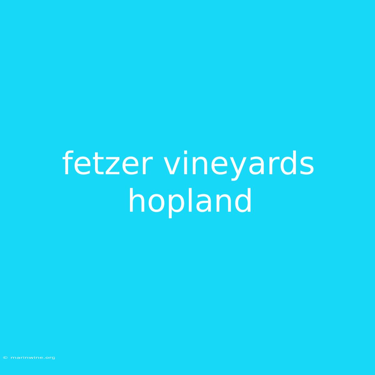 Fetzer Vineyards Hopland