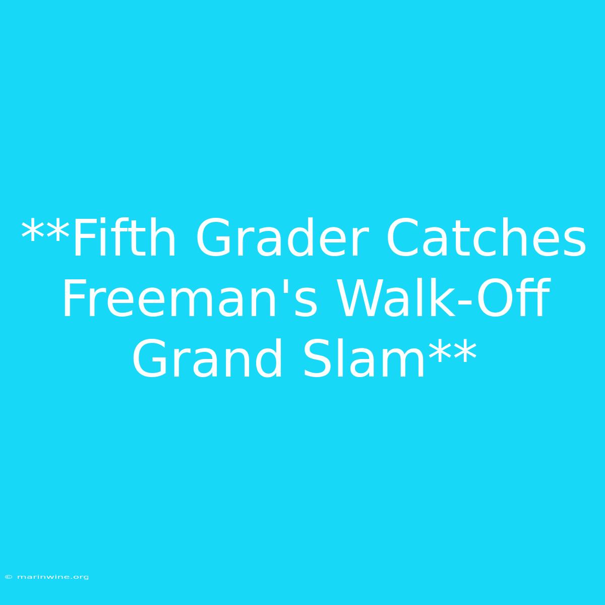 **Fifth Grader Catches Freeman's Walk-Off Grand Slam**