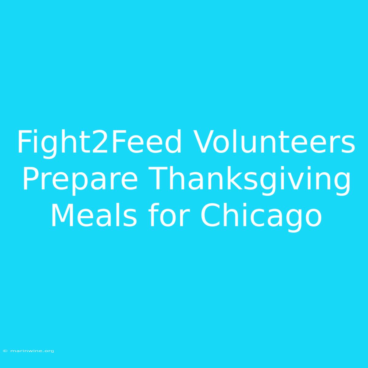 Fight2Feed Volunteers Prepare Thanksgiving Meals For Chicago