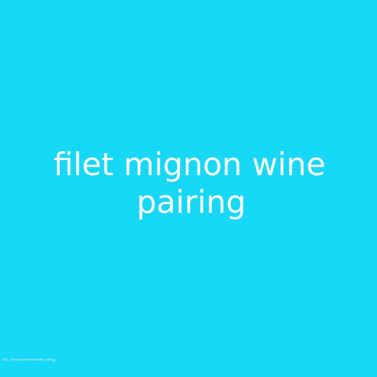 Filet Mignon Wine Pairing