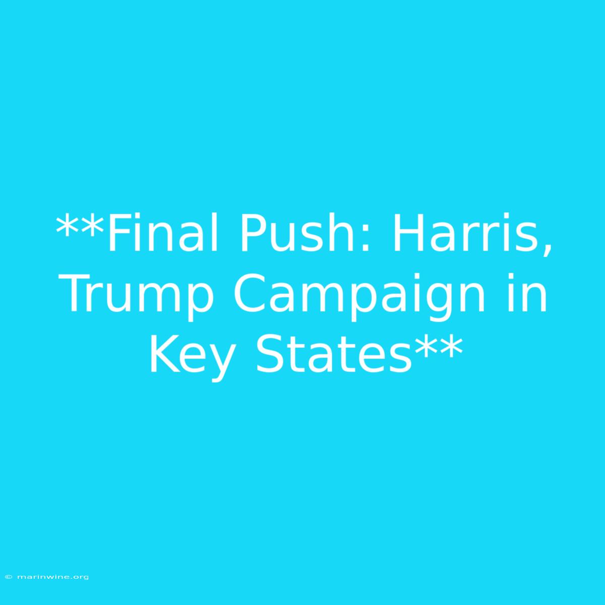 **Final Push: Harris, Trump Campaign In Key States**