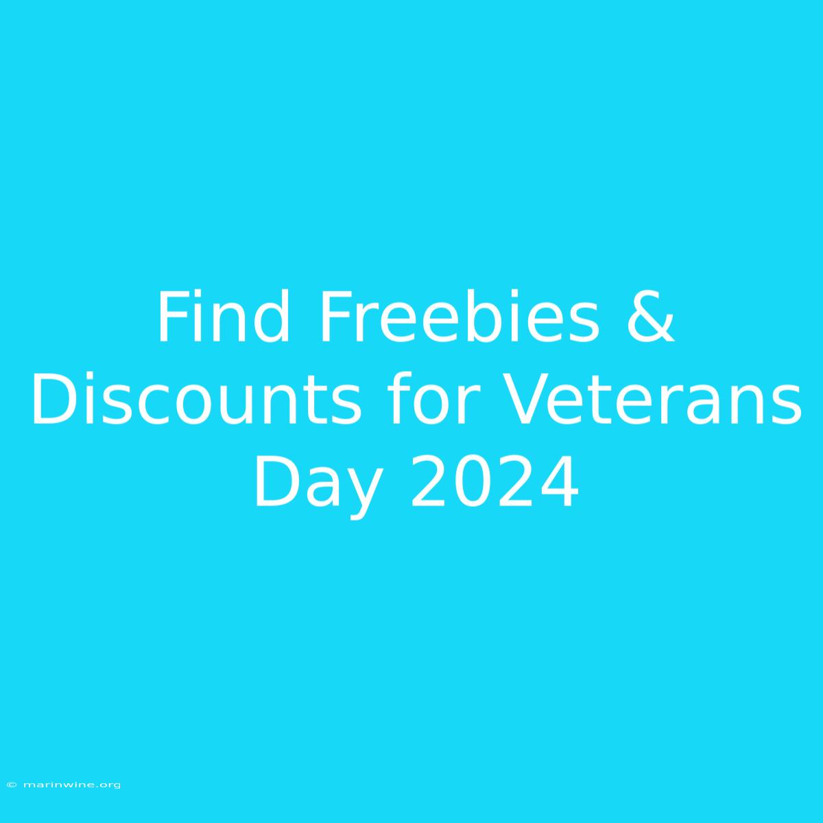 Find Freebies & Discounts For Veterans Day 2024 