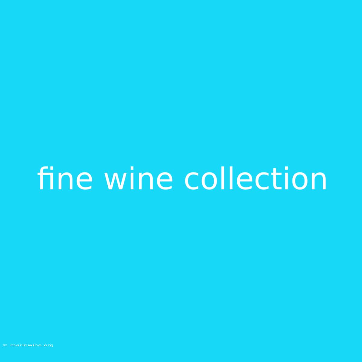 Fine Wine Collection