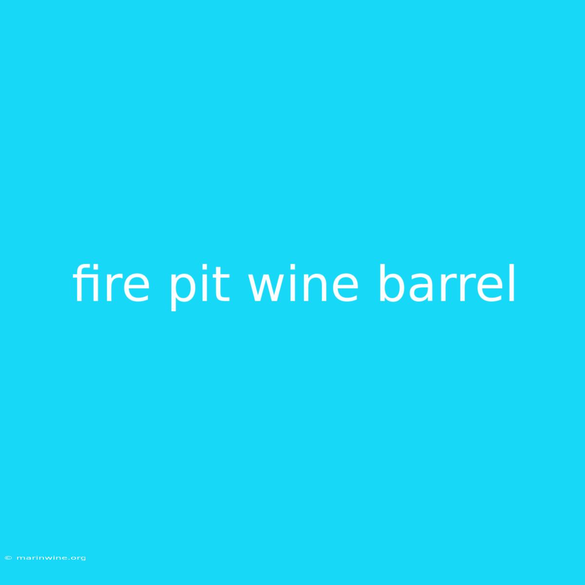 Fire Pit Wine Barrel