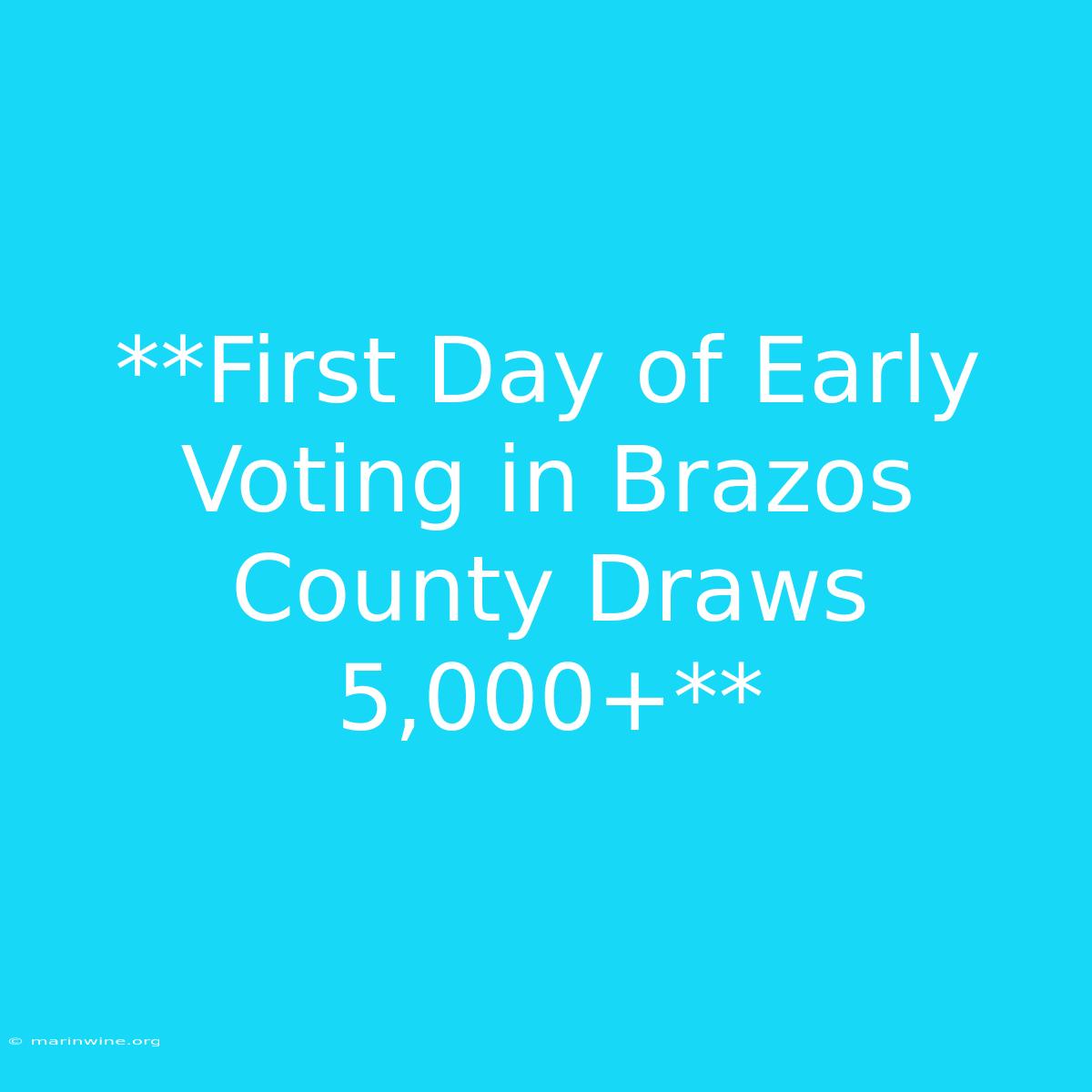 **First Day Of Early Voting In Brazos County Draws 5,000+** 